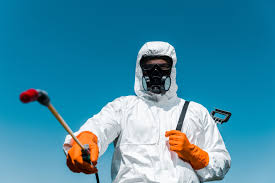 Best Real Estate Pest Inspections  in Wesley Chapel, FL